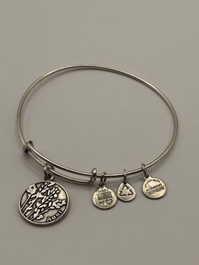 Alex and Ani Aunt Charm Bangle Bracelet Silver Tone